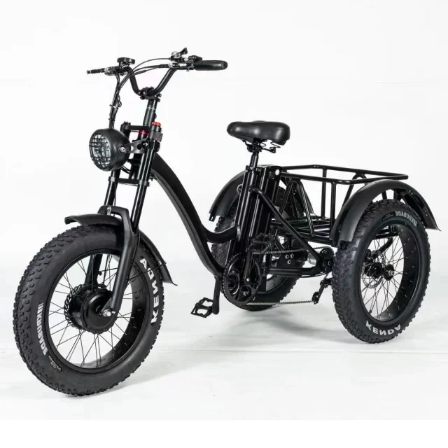 High quality electric trike lithium battery powered adult cargo 500W Fat Tire Three wheels Electric Tricycle custom