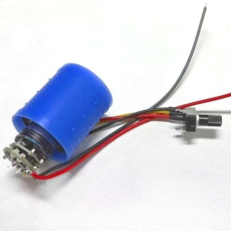

Micro BLDC 3-Phase Brushless Motor DC 12V24V 100000RPM Ultra-high SpeedEquipped with Driver for Electric Hair Dryer