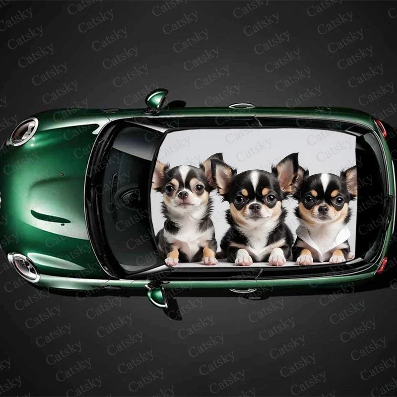 Chihuahua Family Car Roof Sticker Wrap Racing SUV Accessories Packaging Painted PVC Custom Car Graphic Decal