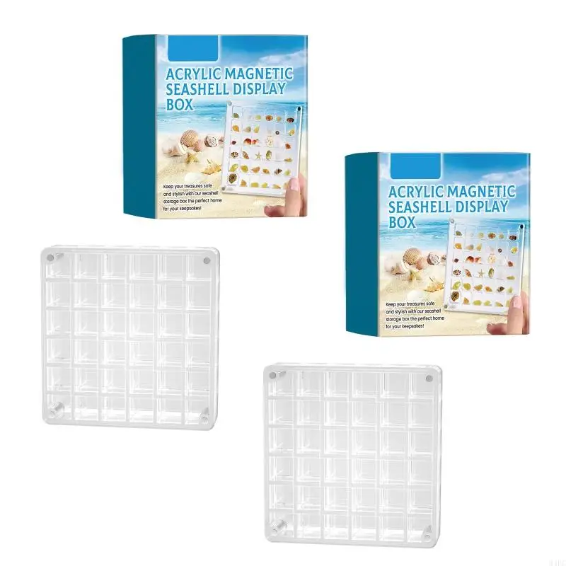 94PC Acrylic Shells Display Case Dustproof Moisture Proof Seashells Holder for Collectors Seashells Presentation Box