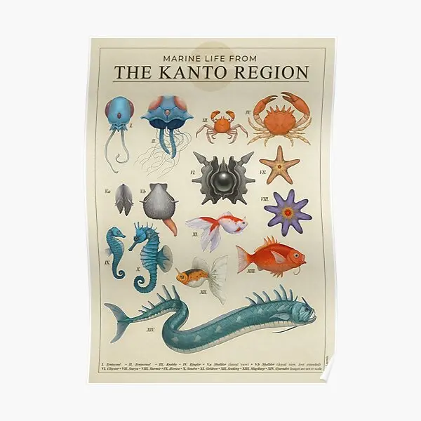 Marine Life From Kanto  Poster Home Room Decoration Picture Vintage Print Art Decor Wall Mural Funny Modern Painting No Frame