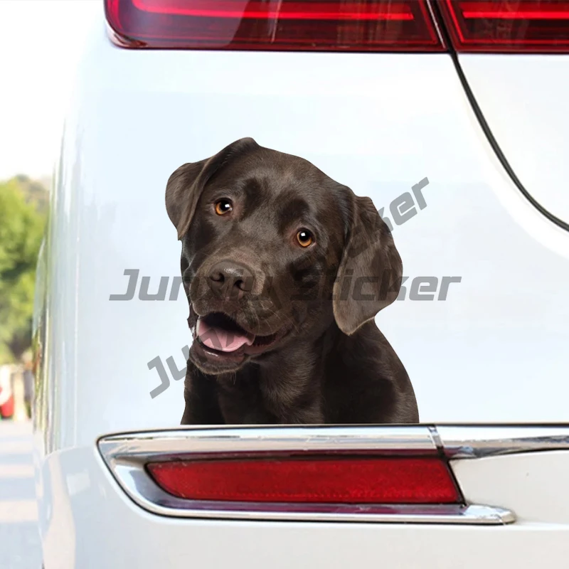

Cute Labrador Car Stickers Scratch Covering Self-Adhesive Waterproof Decal Motorcycle Decorative Accessories