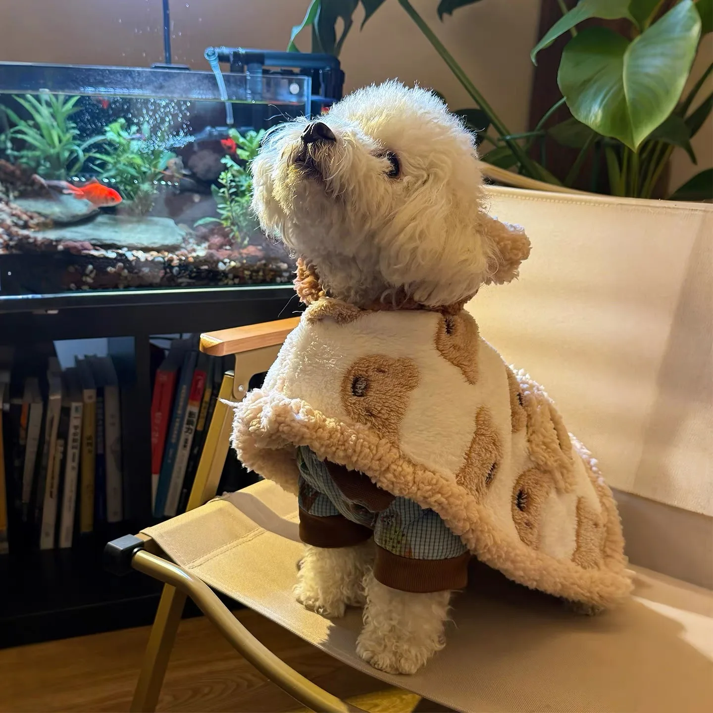 2 في 1 جرو معطف الحيوانات الأليفة الدافئة الدب كيب الدافئة الكلب لحاف بطانية للحيوانات الأليفة كيب كيب بطانية Schnauzer فصيل كورجي القط معطف مصمم الكلب الملابس