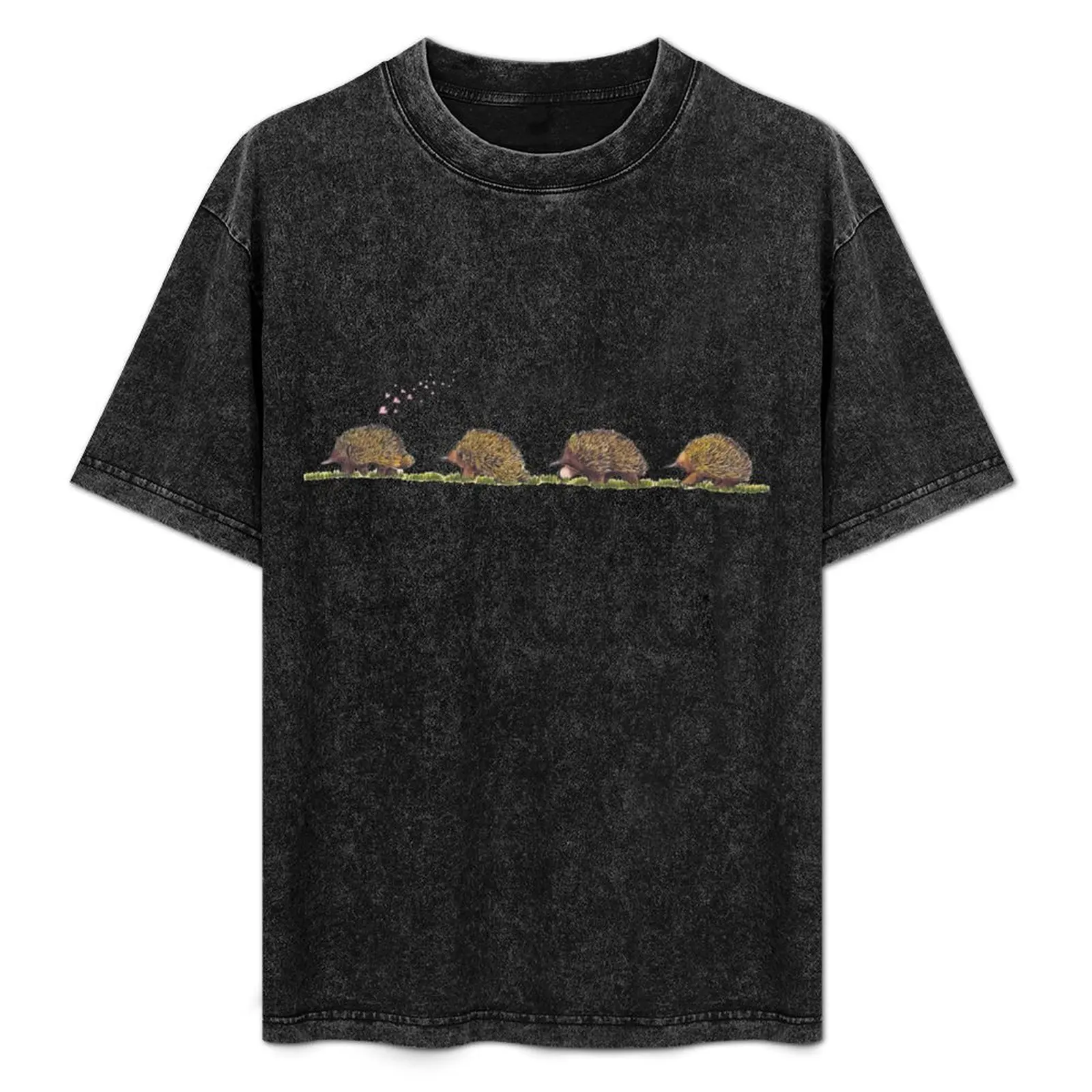 

The Love Train T-Shirt Plus Size Loose Fit T-Shirt