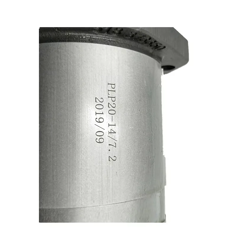 المجموعة 20 مضخة زيت التروس الهيدروليكية Casapa PLP20 PLP10 مضخة التروس PLP20.14D0-8 PLP10.6.3D0-30K2-LBB/BA-N-EL-FS