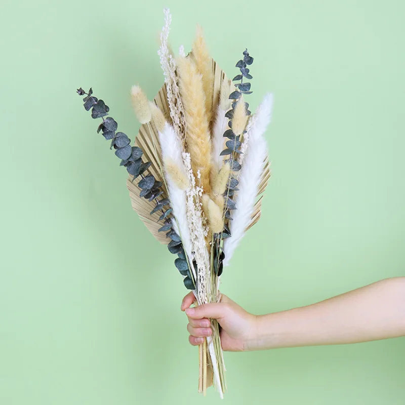 

1Set 20-40cm Pampas Grass Decor Wedding Supplies Natural Dried Flowers Christmas Bouquet Home Living Room Decoration Accessories