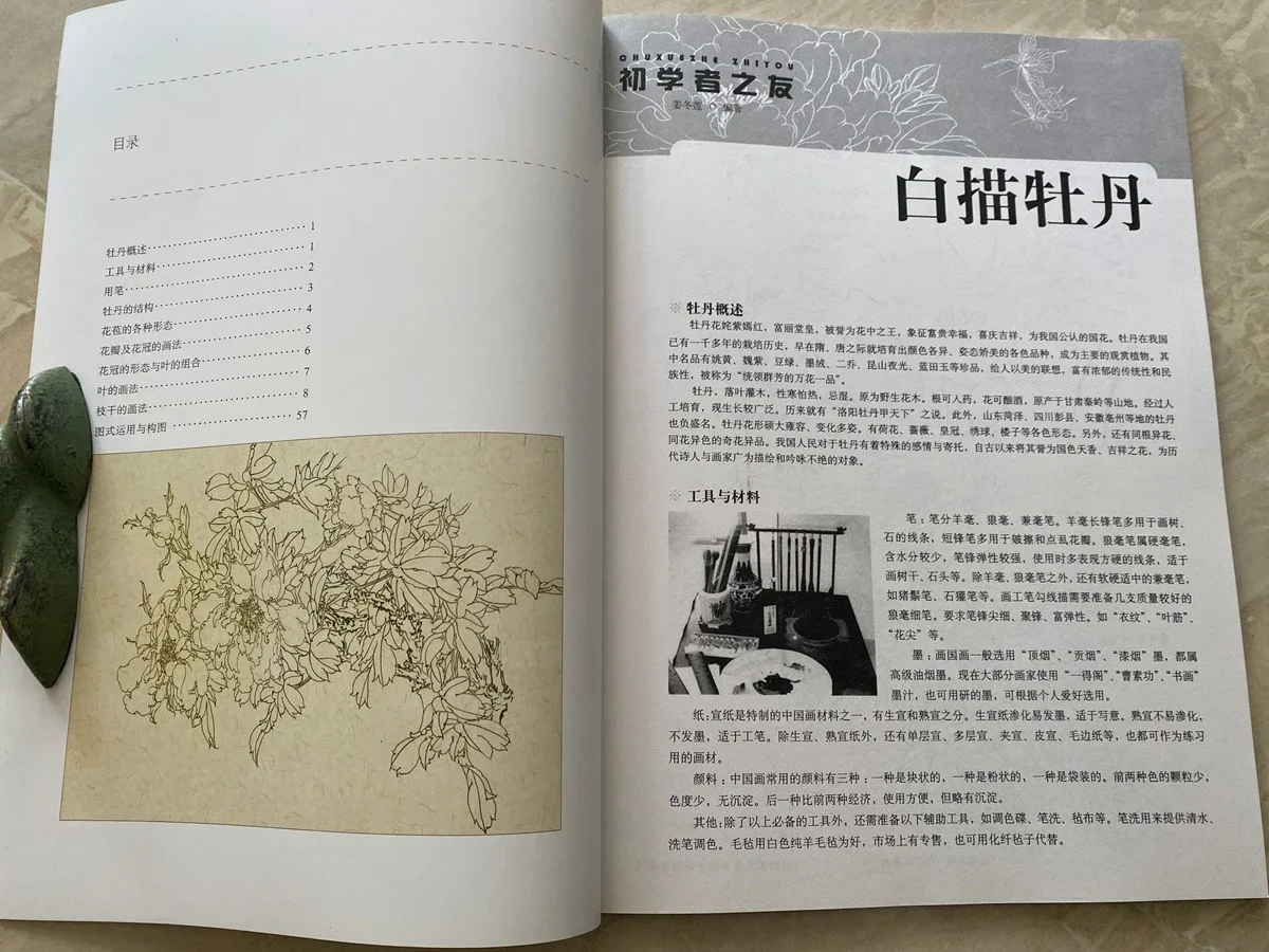 Chinese Painting Sumi-e Beginner Outline Sketch Tattoo Reference Book Peony Line Drawing