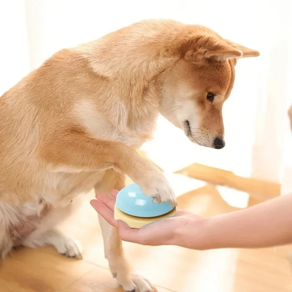 Thumbnail 3 - #9 Trending Pet Training Clicker Right Now