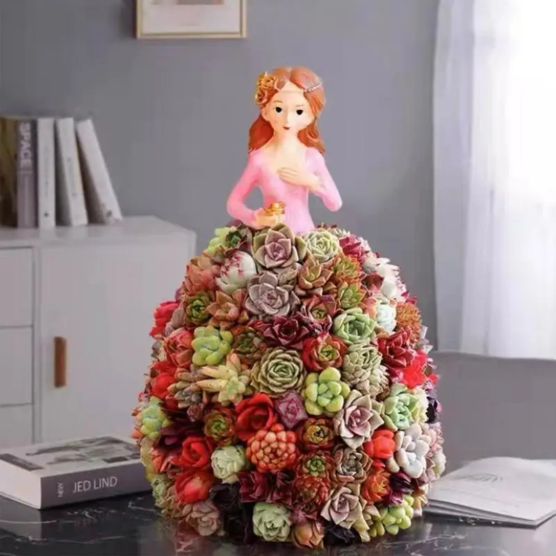 User inière pour plantes succulentes, la rêverie de la robe de fleurs de princesse, non incluse, idéale pour les plantes succulentes, plantes diversifiées