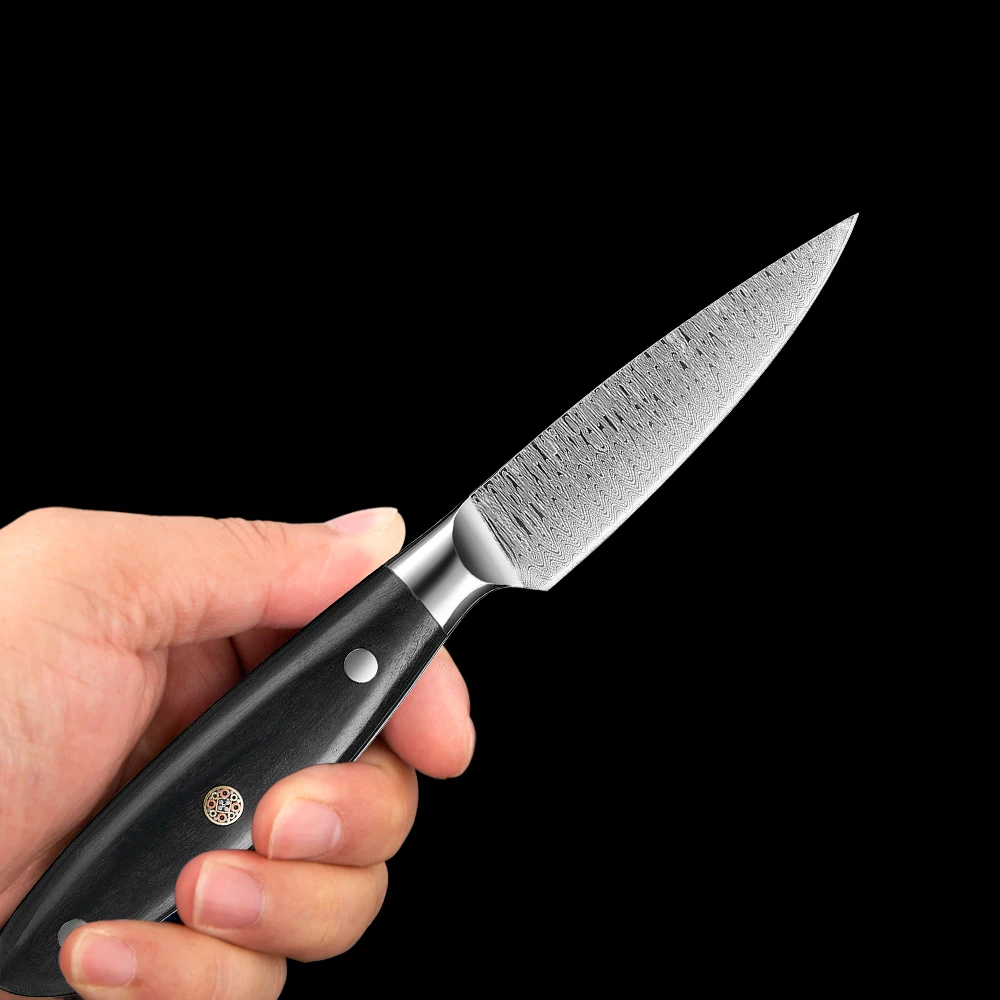 Paring Knife 3.5 Inch Stainless Steel Fruit Knife Hand Forged Japanese Peeling Knife Small Kitchen Knives Damascus Laser Pattern