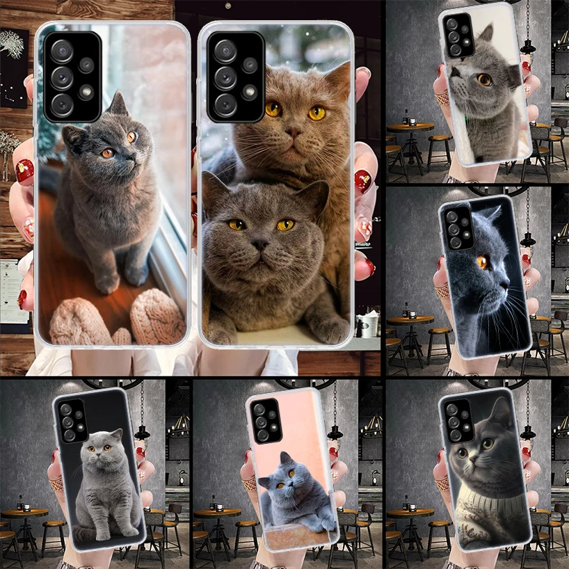 British Shorthair Cat Phone Case For Samsung Galaxy A55 A54 A53 A52 A15 A14 A13 A12 A35 A34 A33 A32 A25 A24 A23 A22 A04S A03S A0