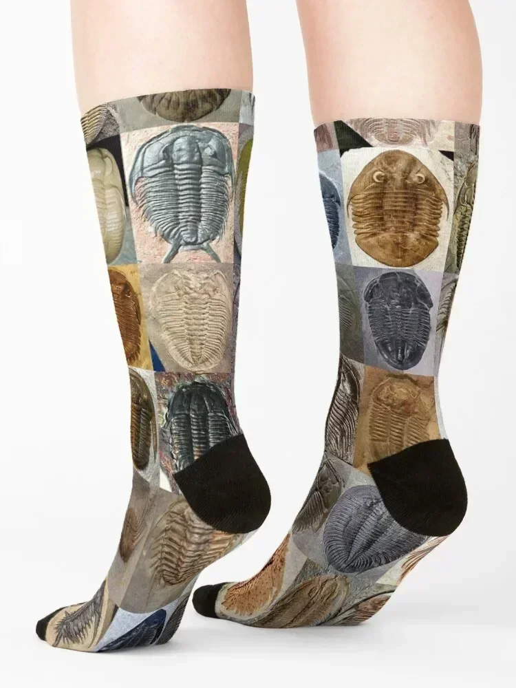 Trilobites Socks funny gift Non-slip Running hockey Socks For Man Women's