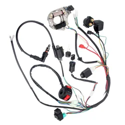 Complete Electrics Wiring Harness CDI Coil For Kawasaki KLX Chinese Dirt Bike ATV QUAD 49cc 50cc 80cc 90cc 100cc 110cc 125cc