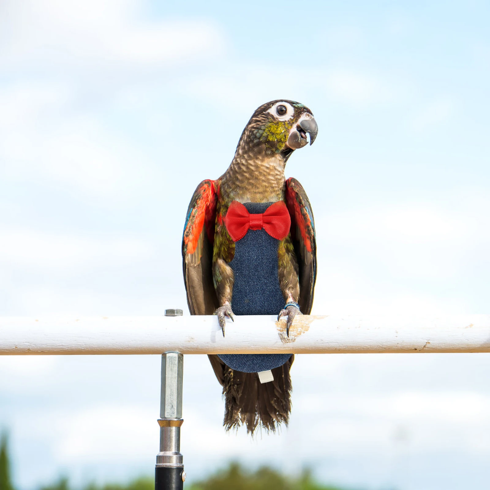 

Parrot Diaper Clothes Bird Flight Suit Washable Lightweight Cotton Fabric For Small Birds Cockatiel Parakeet Pigeon Pet Diapers