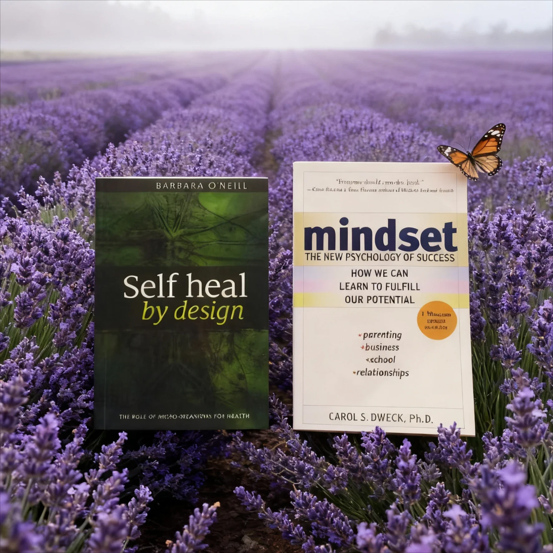

《Self Heal By Design》+《Mindset The New Psychology of Success》focus on the body's self-healing Breakthrough of thinking patterns