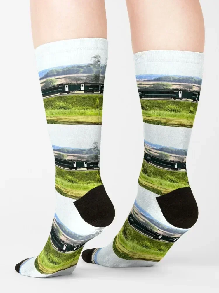 GWR CLASS 800 & CLASS 158 LOCOMOTIVES Socks colored Crossfit hiphop crazy Socks Ladies Men's