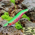 3.0 529 FLUOROGREEN