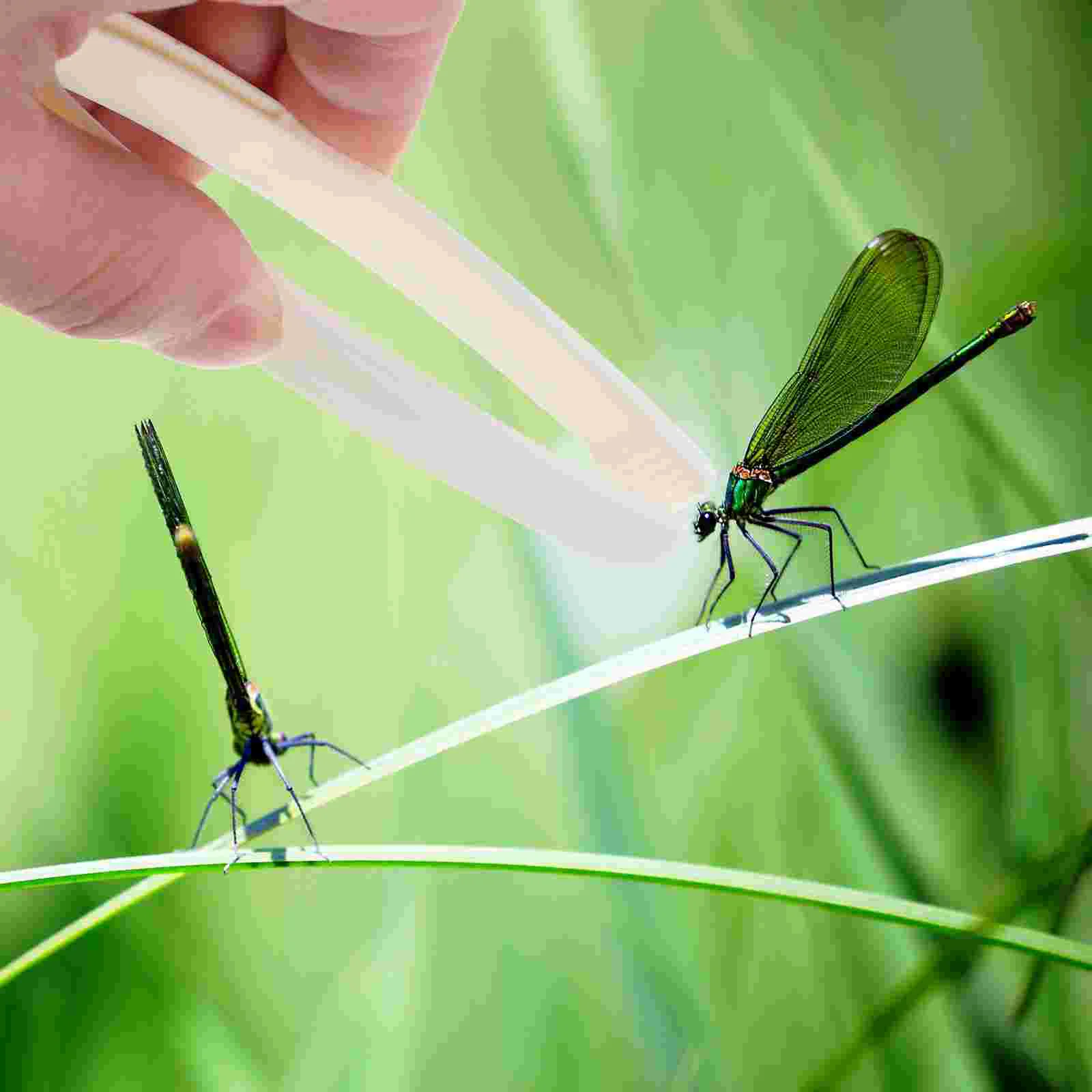 Pincettes en plastique pour enfants, 20 pièces, jouets d'exploration en plein air, couleurs vives, formation des motricité Fine, aide pédagogique scolaire, maternelle