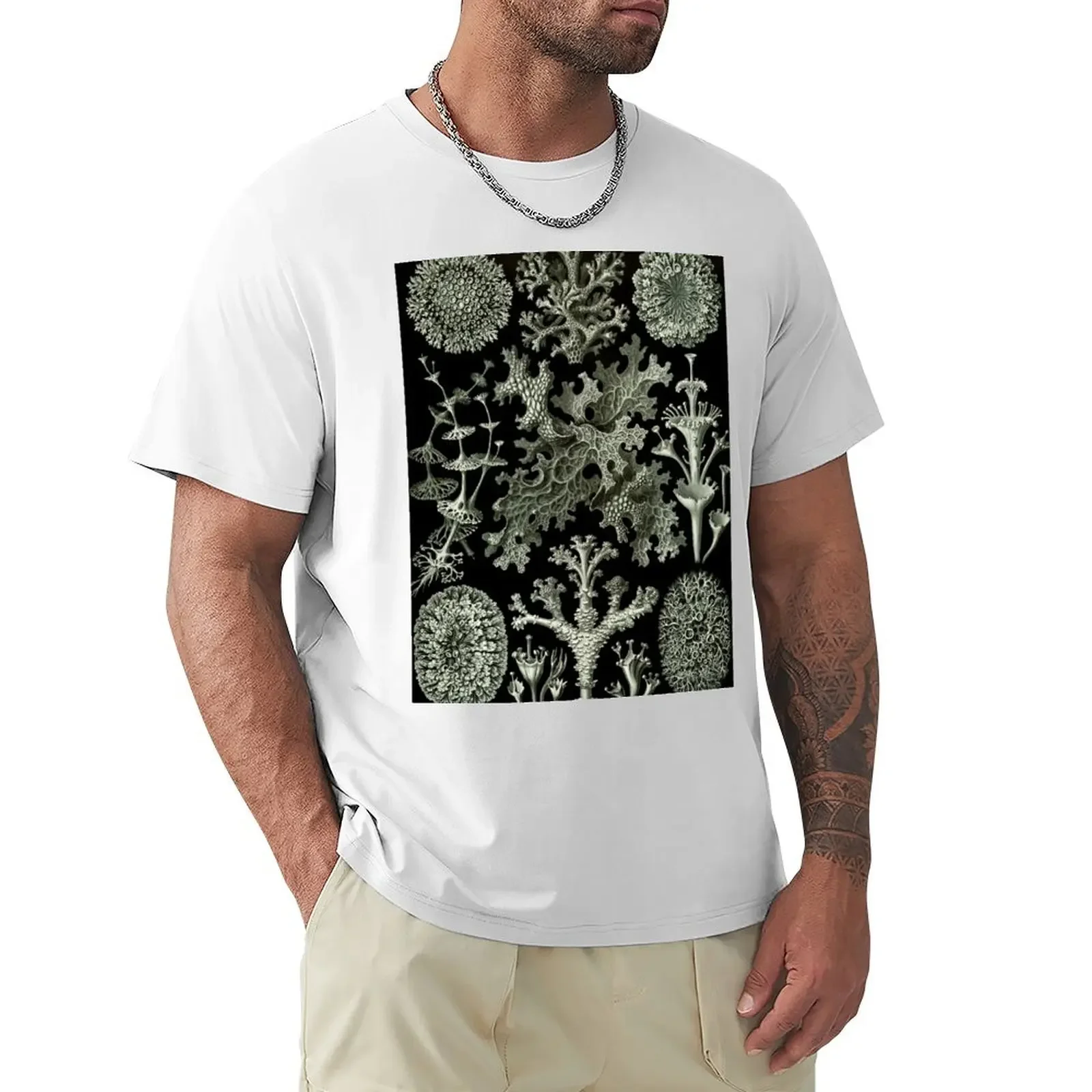 Natural History Lichen T-Shirt graphic t shirt vintage vintage oversized summer tops men t shirts high quality