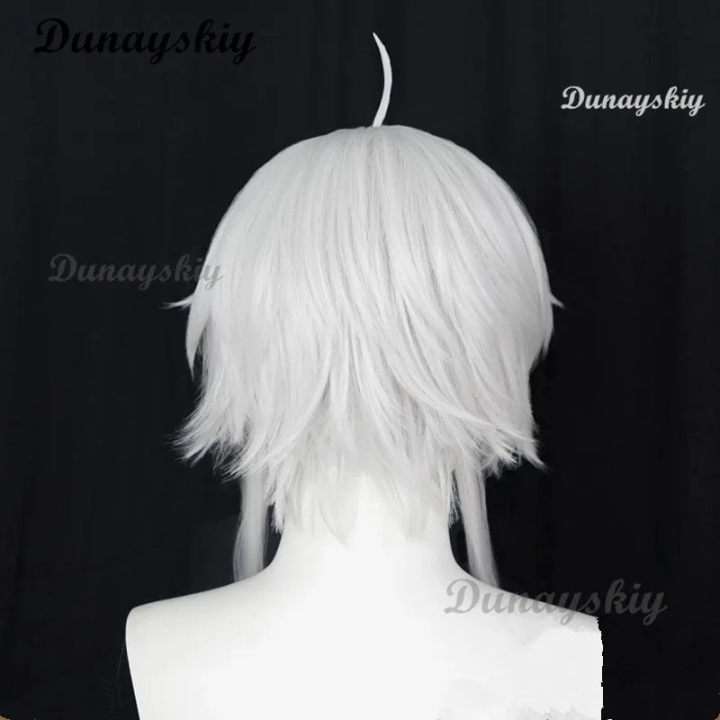 Peluca de Cosplay de Anime Mushoku Sylphiette Tensei 2, pelo corto gris, compatible con gafas, orejas, pelo de fibra resistente al calor + gorro de peluca para Halloween