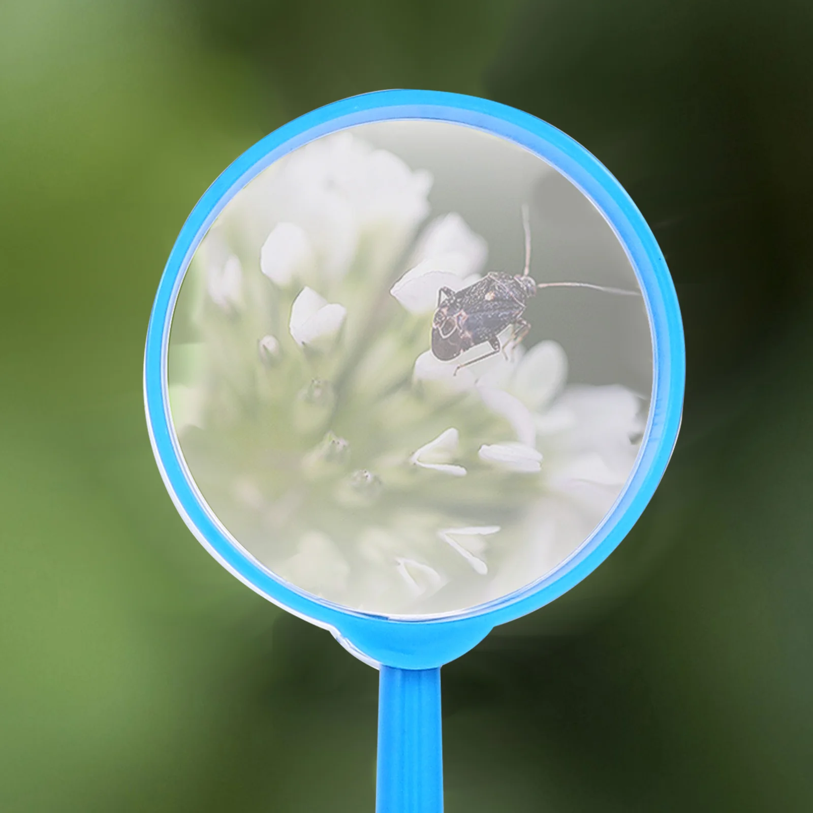 

5Pcs Mini Handheld Magnifying Glass 60mm Kids 3x Magnification Nature Insect Observation Science Explorer Tool