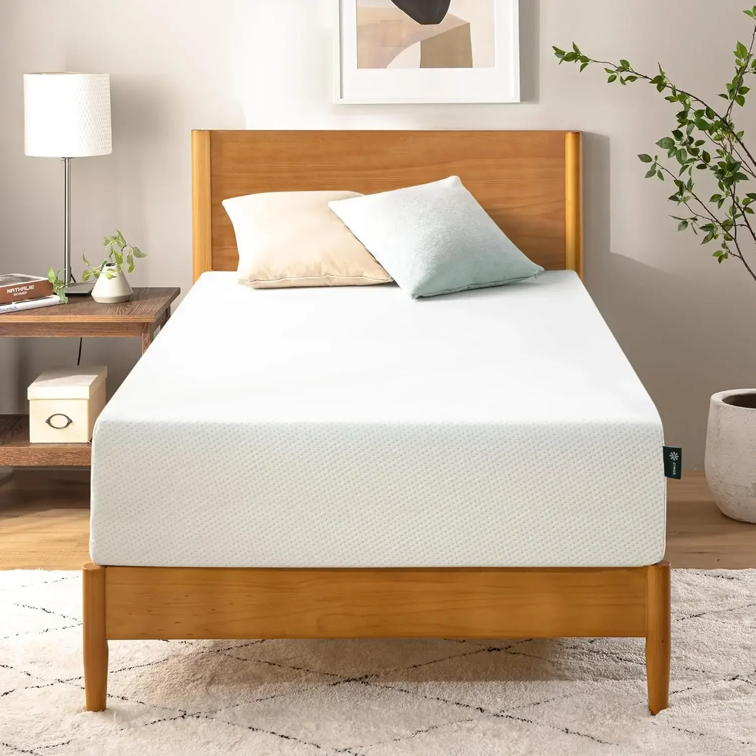 

12 Inch Twin Green Tea Memory Foam Mattress [New Version], Fiberglass Free, Medium Firm Feel, Zoned Pressure Relief, Certified S