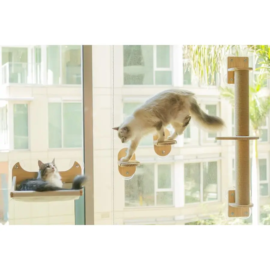 

Window amp Wall Mount Cat Wall Shelves Hammock, Scratching Post amp Perch Fits up to 40 lbs SpaceSaving Pet Furniture for Window