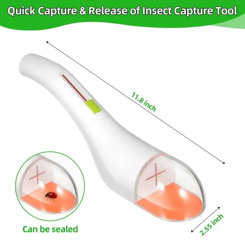 Herramienta de captura de insectos de liberación rápida, atrapamoscas transparente portátil, tipo de empuje, observación de insectos para exploración al aire libre