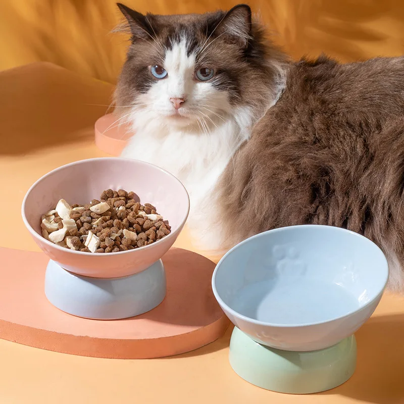 

Elevated Slanted Ceramic Pet Bowl Neck Protection Feeding Drinking Basin Supplies for Cats Dogs