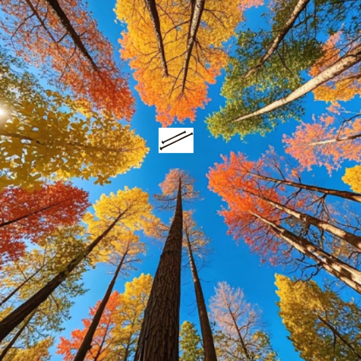 Os de chien central en acier GPM S2, pour ARRMA 1/8 Typhon 6S notoire Kraton V6, livraison rapide et sans souci, après-vente