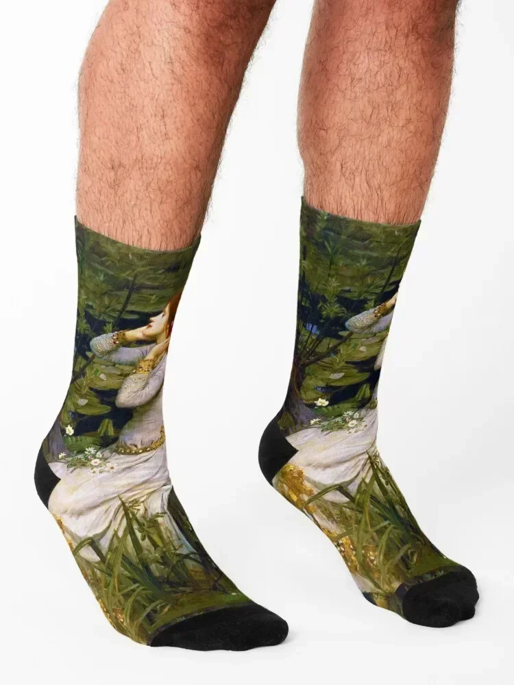 جون ويليام ووترهاوس أوفيليا 1894 الجوارب المهنية تشغيل هدية الكريسماس كرة القدم المضادة للانزلاق مضحك جورب الجوارب السيدات الرجال #3