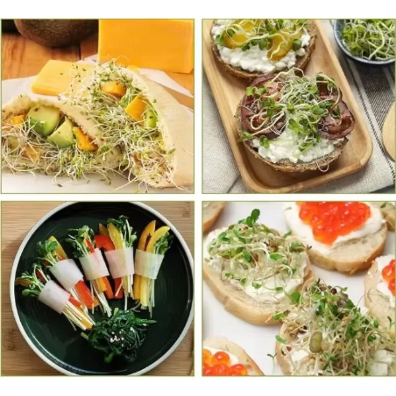 طقم تنبت البذور من الفولاذ المقاوم للصدأ، صينية إنبات البذور المكونة من 3 طبقات قابلة للتكديس