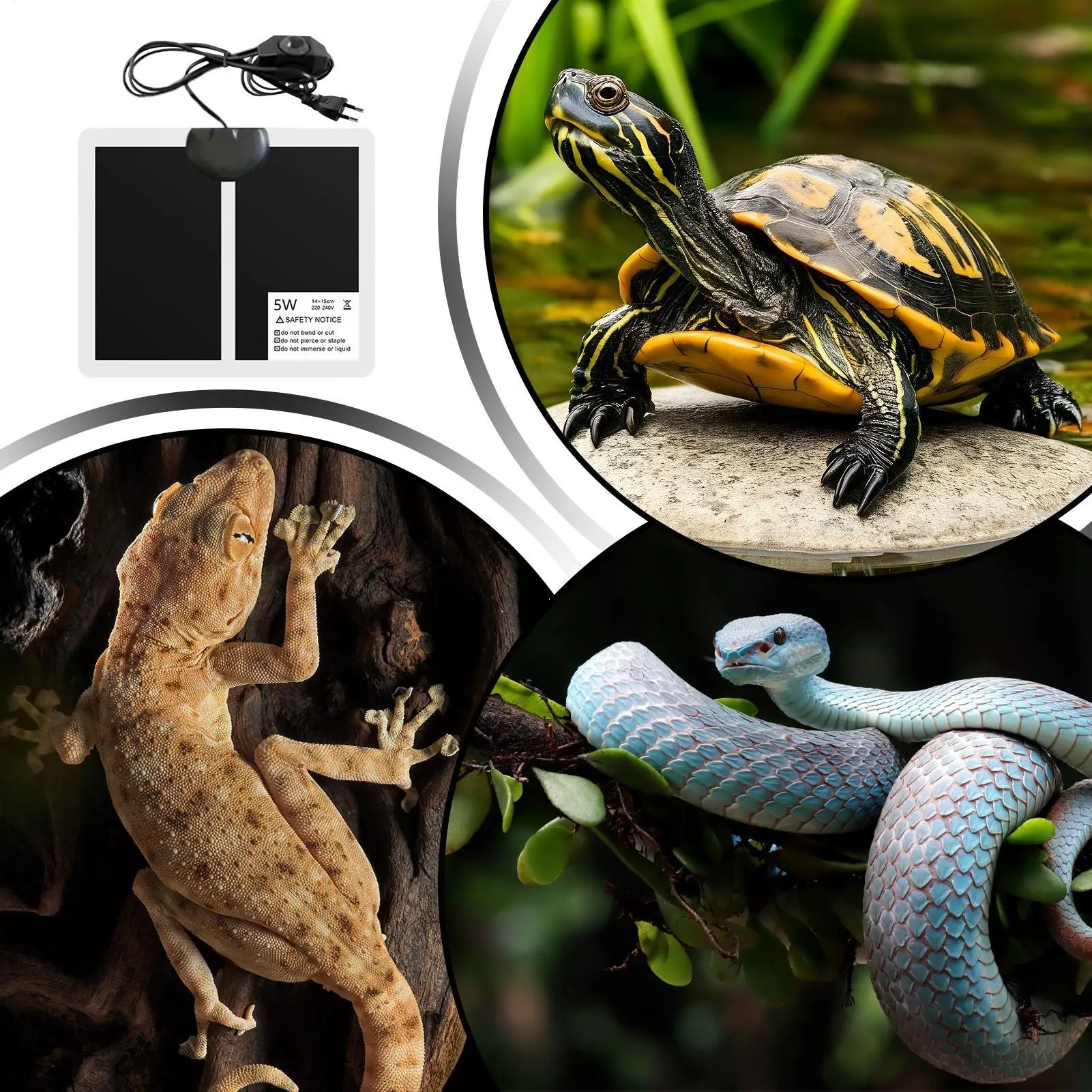 Heat Mat For Reptiles 5W Terrarium Panel Warming Mat Leopard Gecko Heating Pad For Chameleon Bearded Dragon Gecko Snake Tortoise view 4