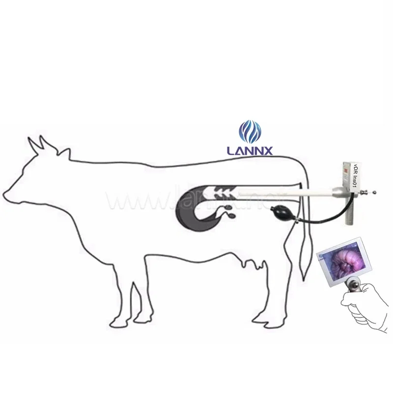 رخيصة الثمن الطبيب البيطري يده جهاز التلقيح الاصطناعي المعدات البيطرية خنزير الماشية البقرة الكلب الناب التلقيح بندقية