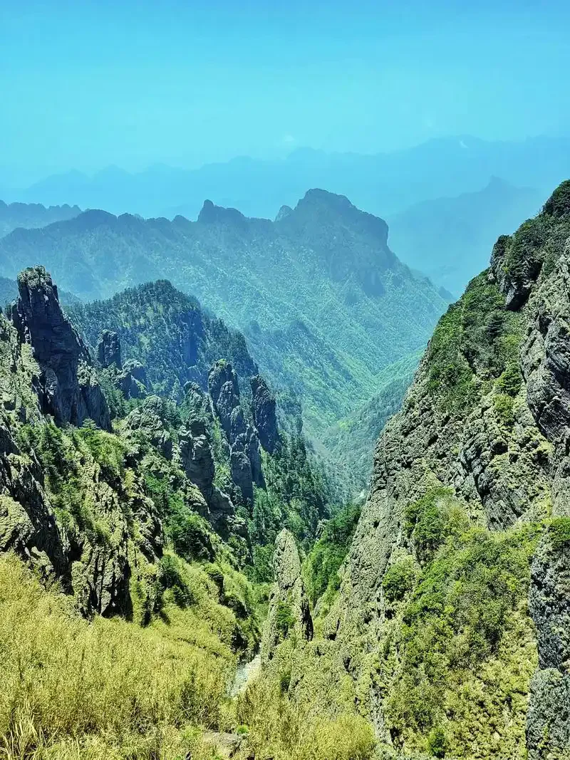 

100Ml Big Belly Cup Creative Pattern Solid Wood Handcarved Anti Scald Tea Cups Simple Fragrant Original Tableware Coffee Tool