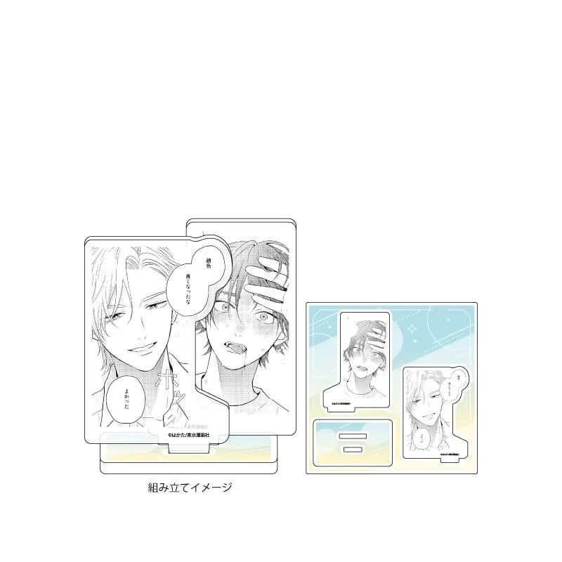 17pc/Ikebukuro BL Sakishita Senmu /Taga Taira/Tokyo Festival Gift Animation Derivatives Acrylic Stand Desk Decor 15cm Keychains