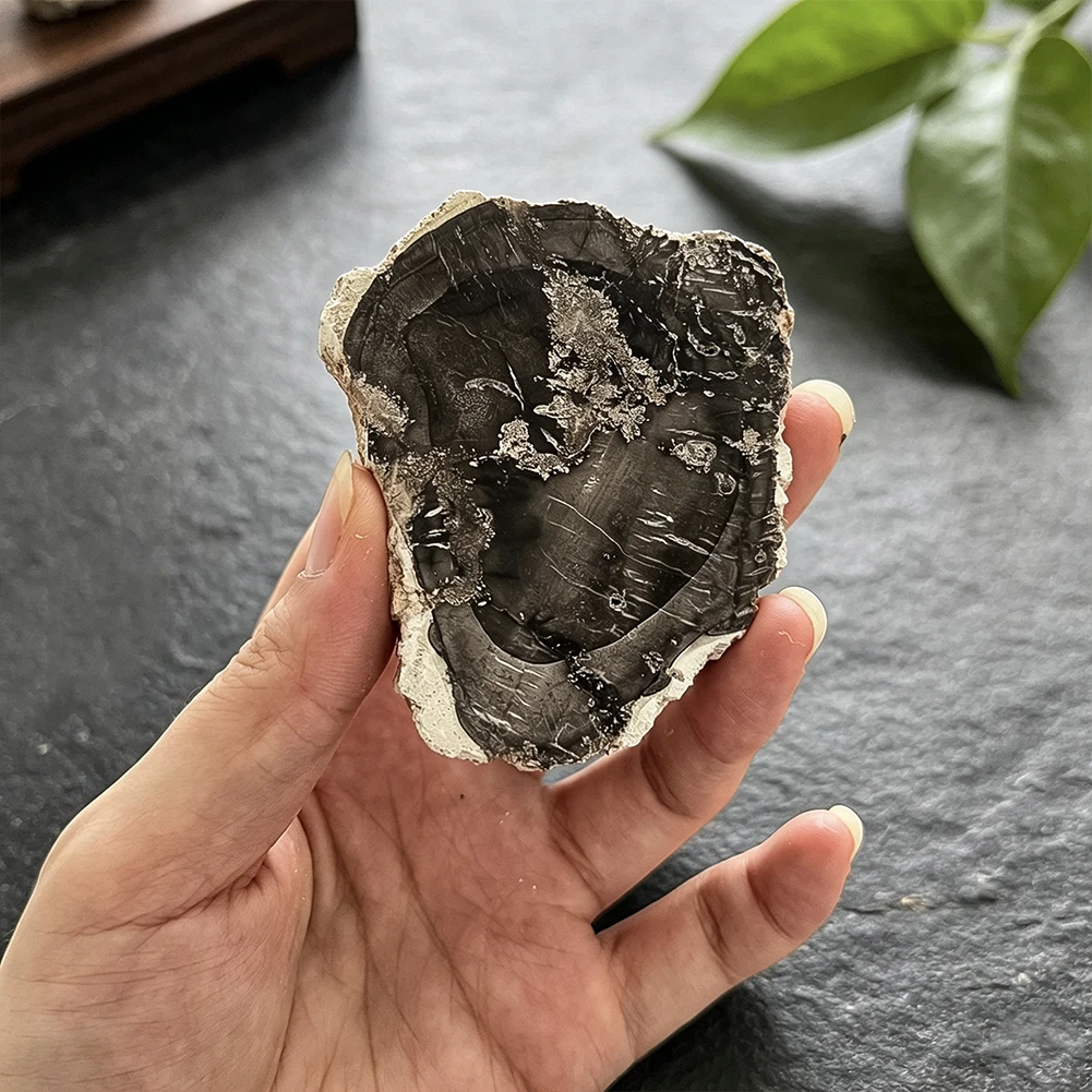 Natürliches Versteinertes Holzstück, Unregelmäßige Raue Mineralsteinplatte für Schreibtischausstellung, Heimdekoration, Sammlerstück – Detail 2