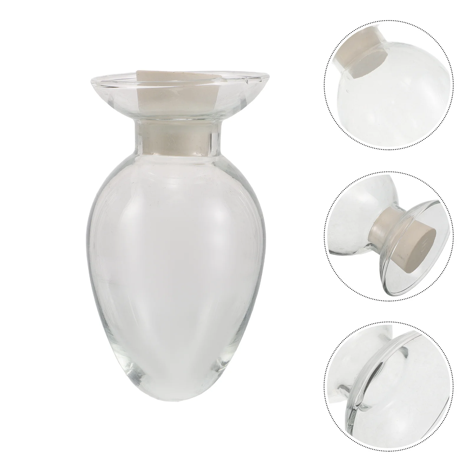 

4Pcs Seed Storage Container Glass Sample Bottles High Transparency Stopper for Seed Organizer and Match Holder Garden