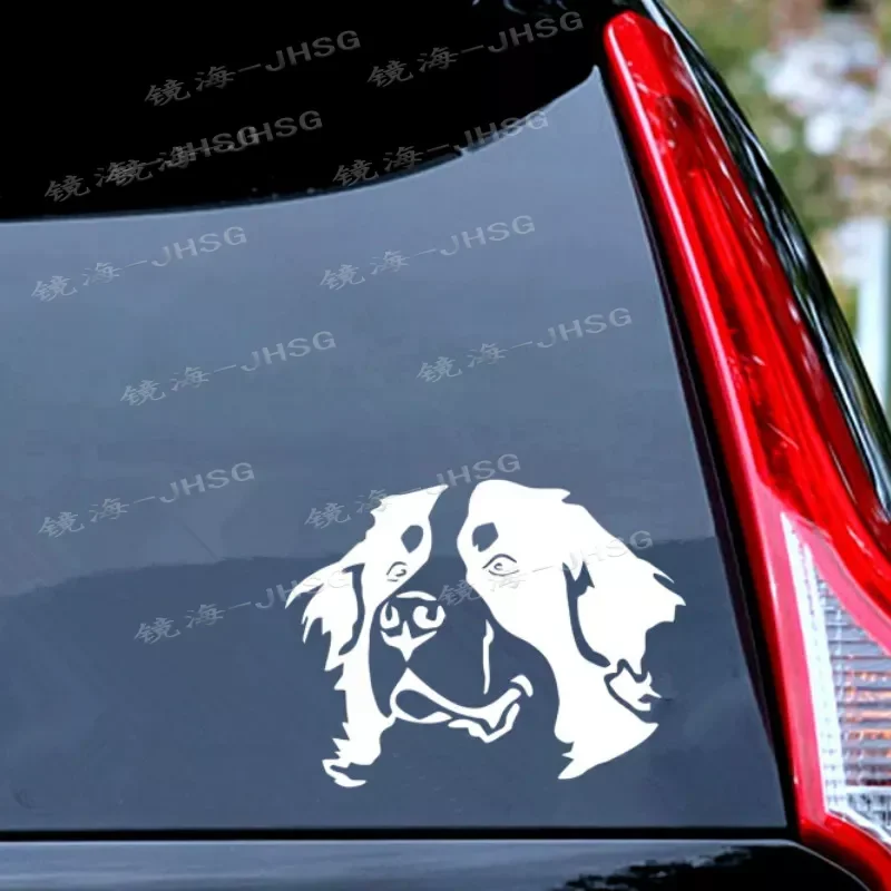 Car Stickers Swiss Bern Mountain Dog Head Car Windshield Motorcycle Exterior Accessories Waterproof Vinyl Sticker