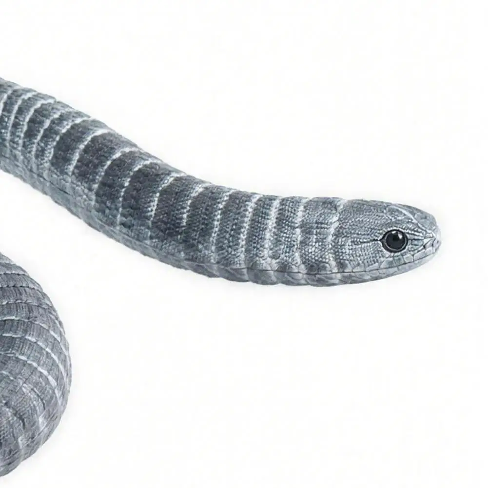 Caecilian Figurine Pvc Caecilian Collectible Model Figurine Miniature Tropical Educational Toy for Boys Girls Decoration