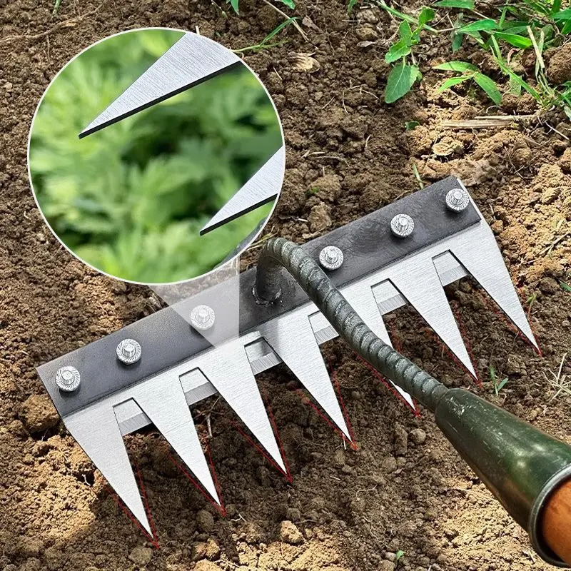 Imagem -03 - Carbon Steel Garden Hand Rake Farm Tool Weeding Scarifier Agricultural Nail Harrow Metal Garden Weedingtool Dentes Dentes Dentes Dentes