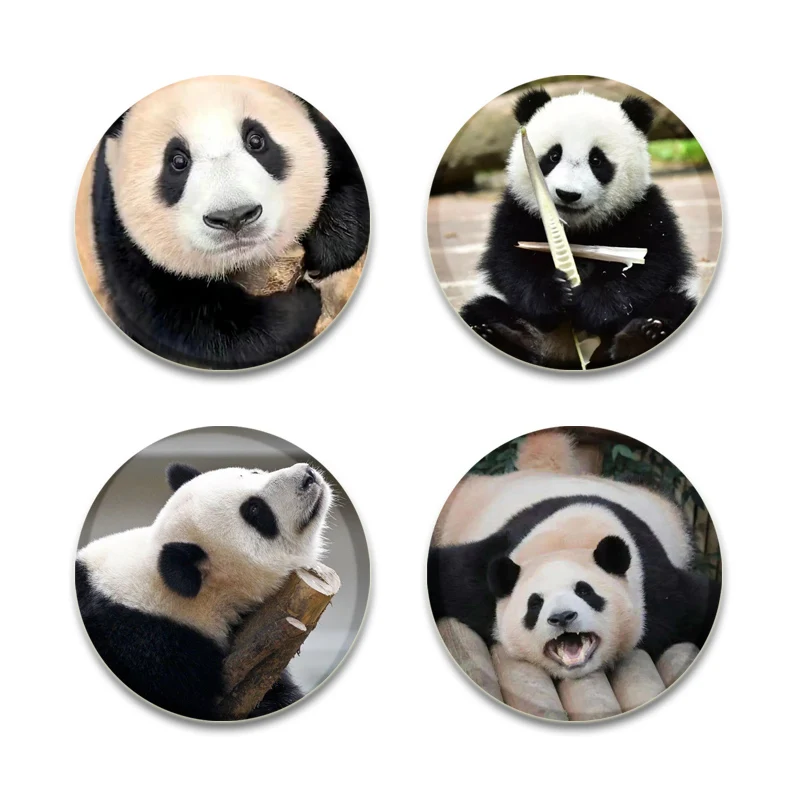 32/44/58mm Cute Pandas Round Brooch Fu Bao/Xiang Xiang/nuan Nuan Badge Clothing Backpack Accessories Pin Gift Fans Collection