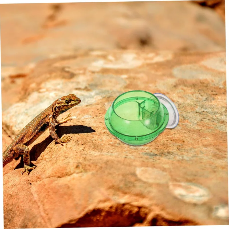 

Ящерица, рогатая лягушка, защищающая дворцовая коробка для кормления, поднос для питья домашних животных, таз для поедания рептилий, миска для воды, предметы первой необходимости