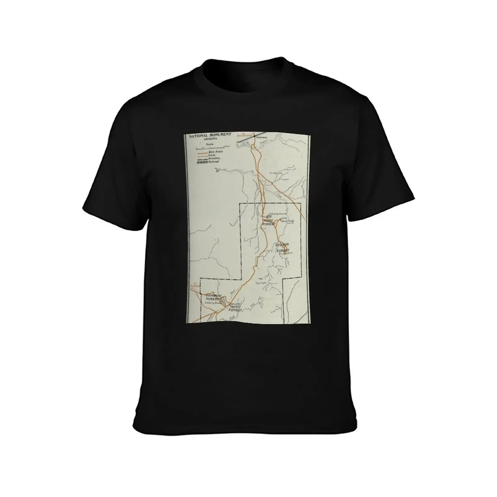 Vintage Petrified Forest National Park Map (1919) T-Shirt graphics anime clothes t shirt for men