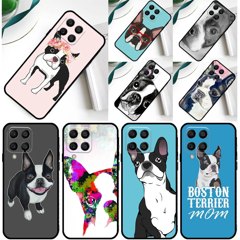 Boston Terrier Dog …