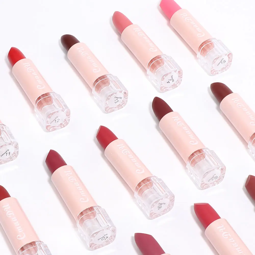 15 Farben Samt-Matt-Lippenstift, langanhaltend, nicht abfärbend, wasserfest, feuchtigkeitsspendend, Lipgloss, modische klassische Farbtöne, tägliches Make-up – Detail 11
