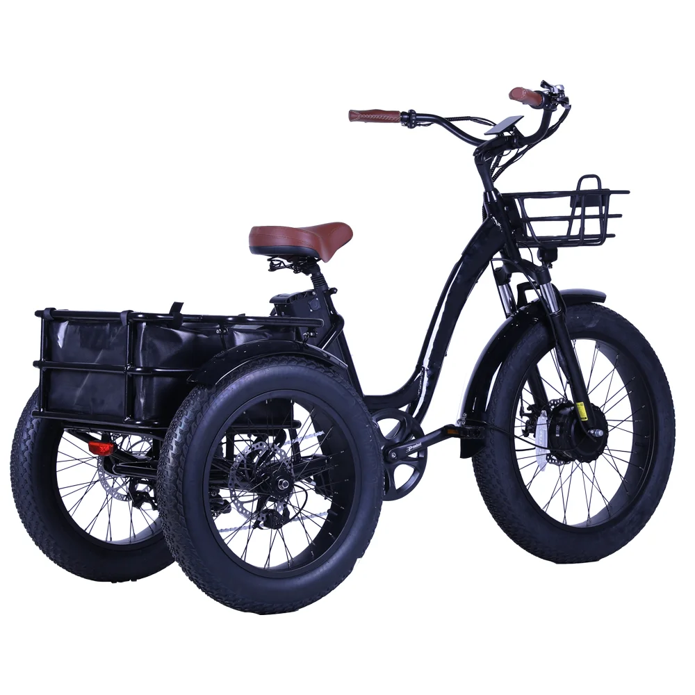 48v 500w Rear motor Fat Tire Tricycle Cargo Ebike Three Wheels