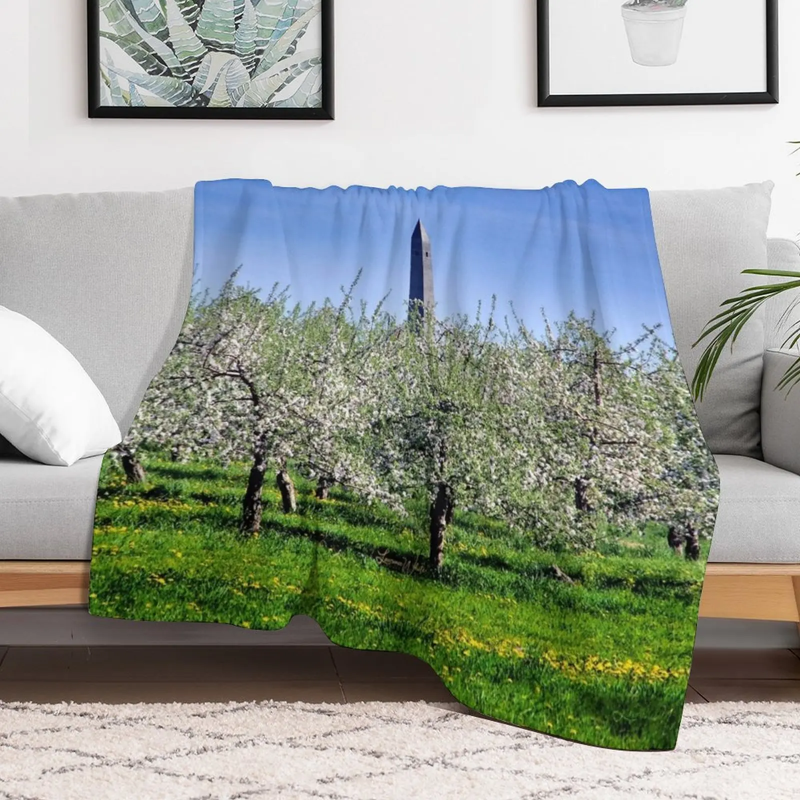 Saratoga Monument, Apple Blossoms Throw Blanket Fashion Sofas Luxury Soft Plaid Blankets