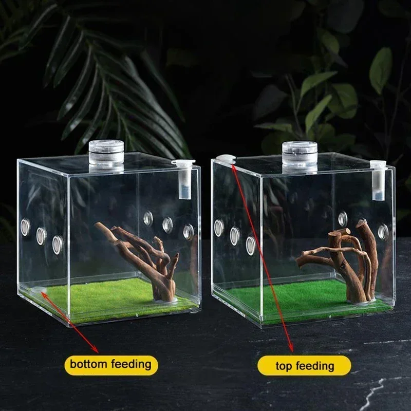 

Acrylic Breeding Box Reptile Insect Jumping Spider Breeding Box Pet Turtle Lizard Portable and Minimalist Ecological Decoration