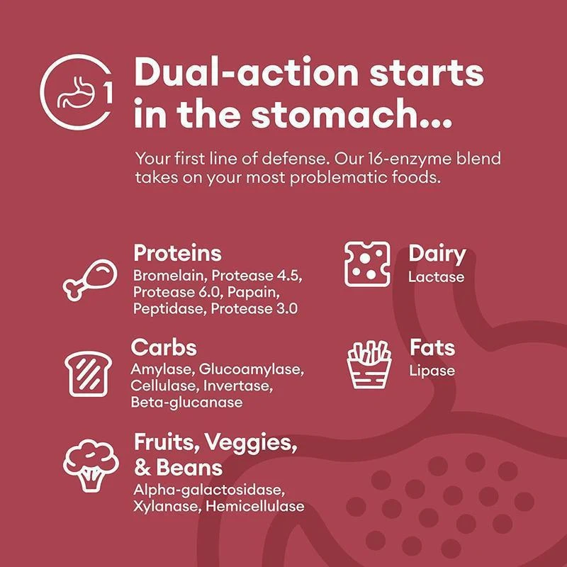 Digestion of 16 enzyme mixtures with probiotics Enzymesles 60 capsules. Decomposing the actual product helps promote digestion